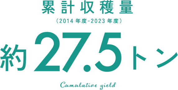 累計収穫量約27.5トン